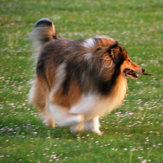 DSC_1185