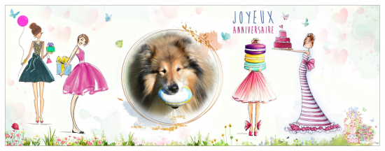 Anniversaire et 3