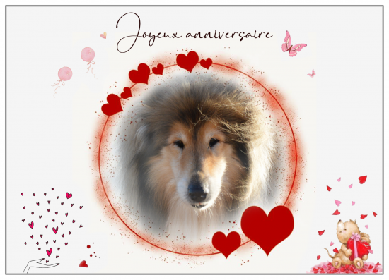 Anniversaire et 5