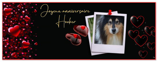 Anniversaire hooker