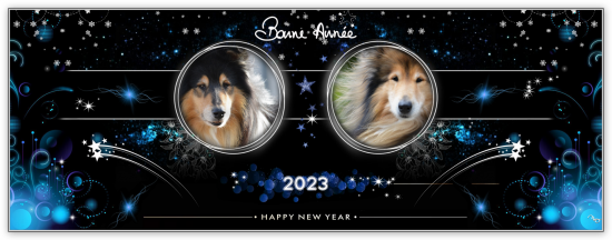 Ba 2023g